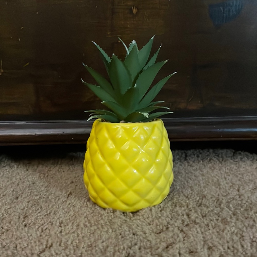 Succulent with yellow vase